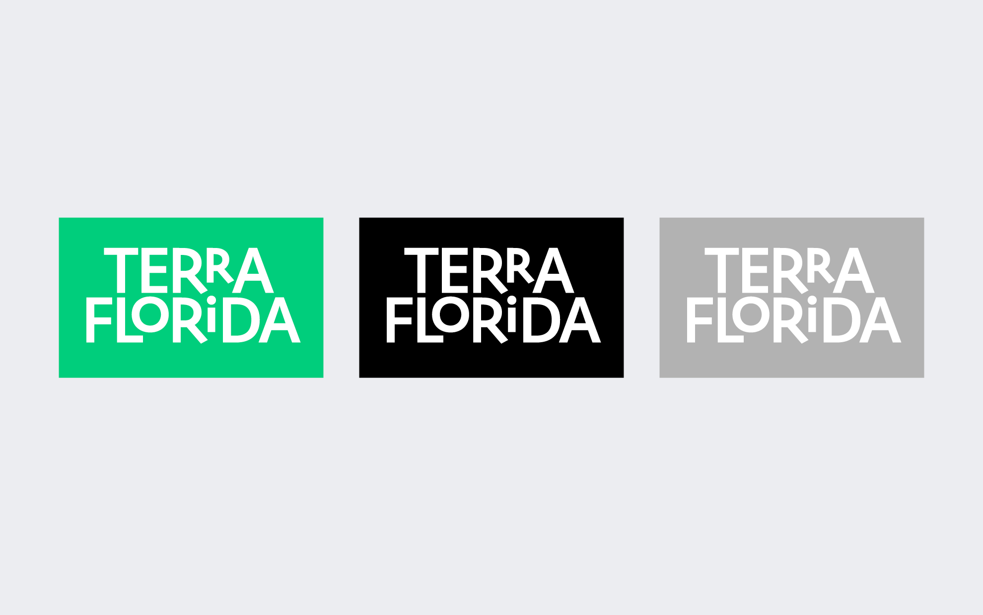 image-_terraflorida3.png