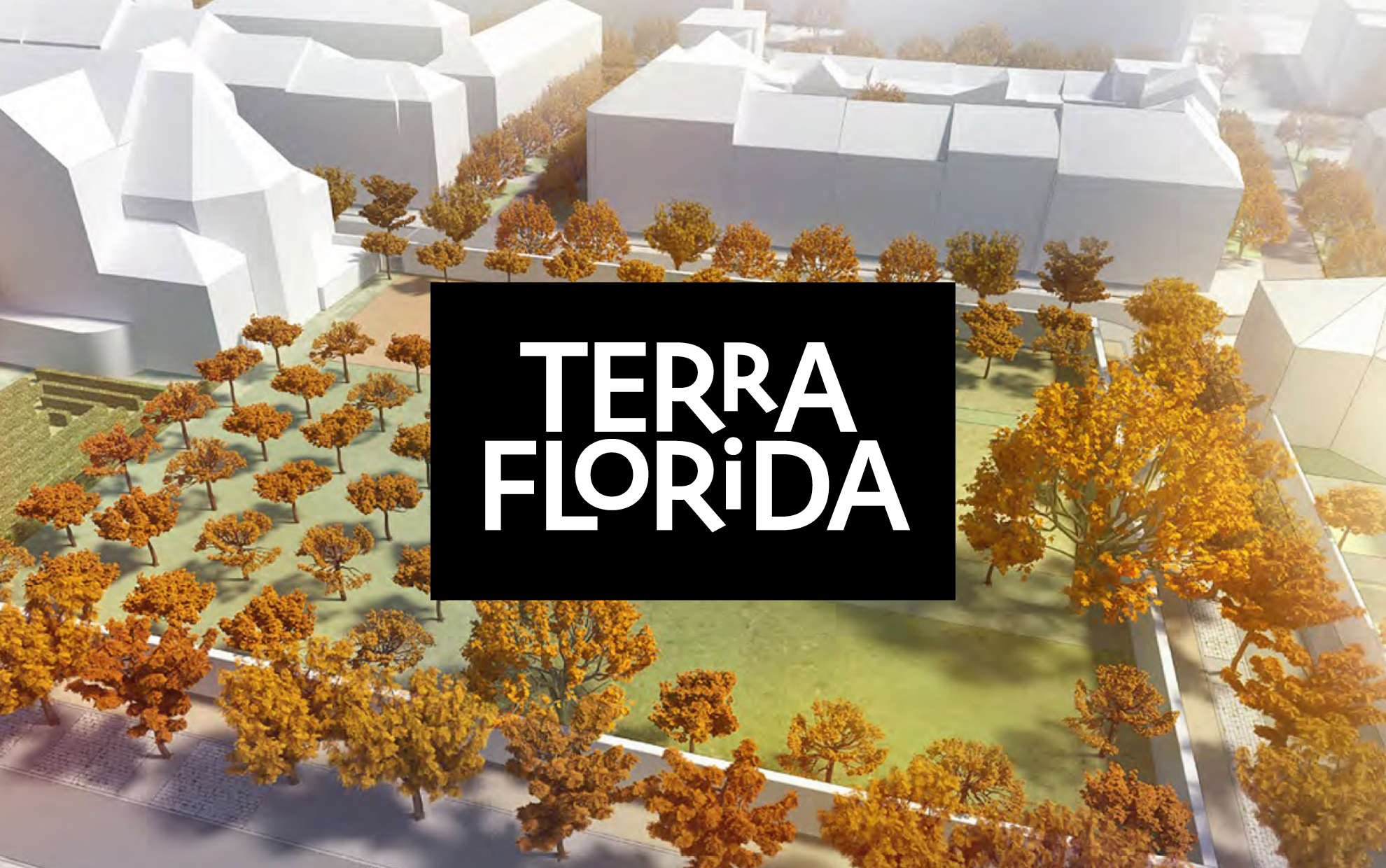 image-terraflorida5.png